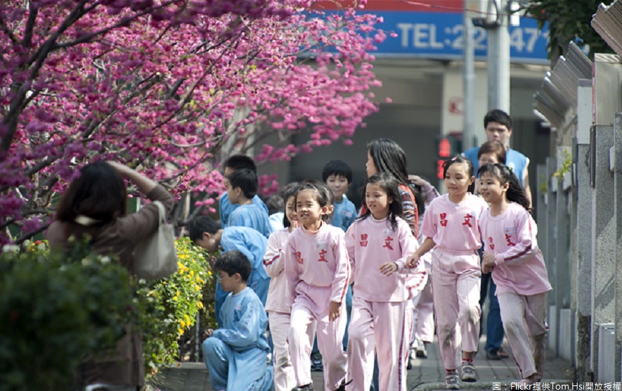 免去舟車勞頓的辛苦，都市平地也有櫻花季，2018平昌櫻花祭，就位在台中市北屯區天津路口的平昌國小旁人行道。 圖：Flickr提供Tom Hsi開放授權