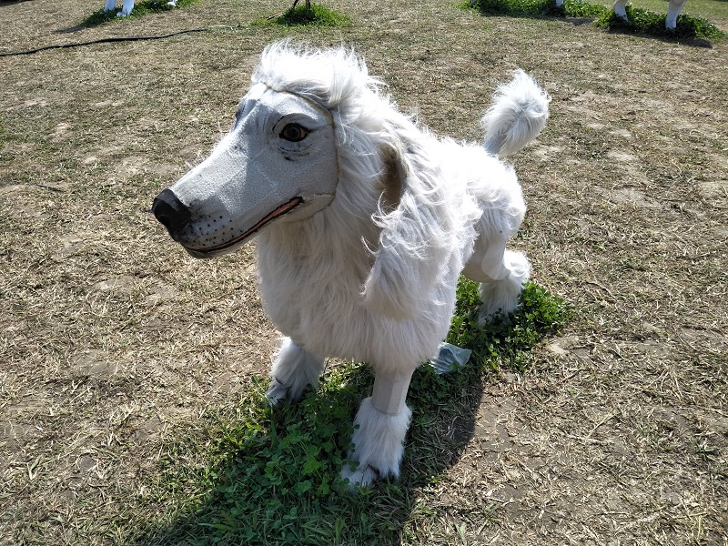 新北燈會「歡喜旺旺來」燈區的貴賓犬花燈，是很受歡迎、最夯的萌犬花燈之一。 圖：新北市民政局/提供