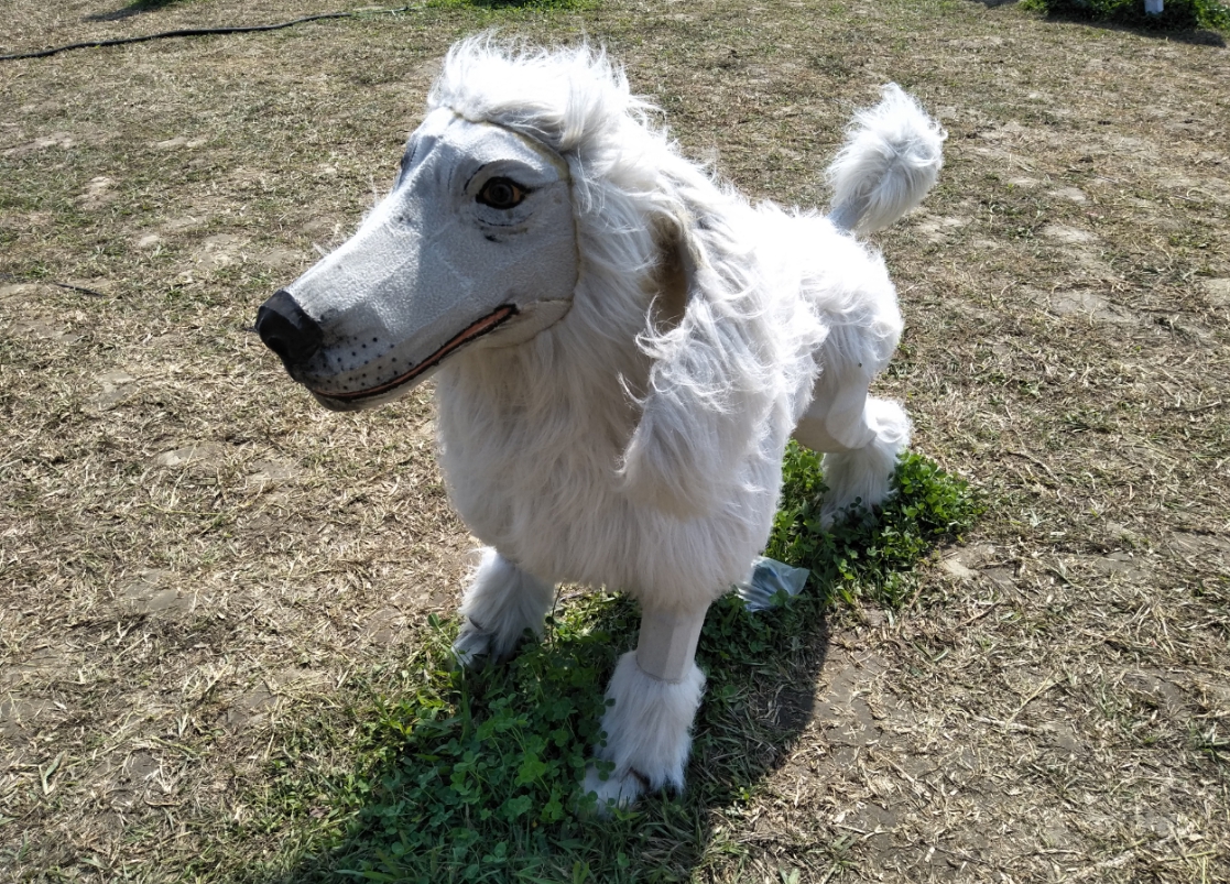 新北燈會「歡喜旺旺來」燈區的貴賓犬花燈，是很受歡迎、最夯的萌犬花燈之一。   圖:新北市民政局/提供