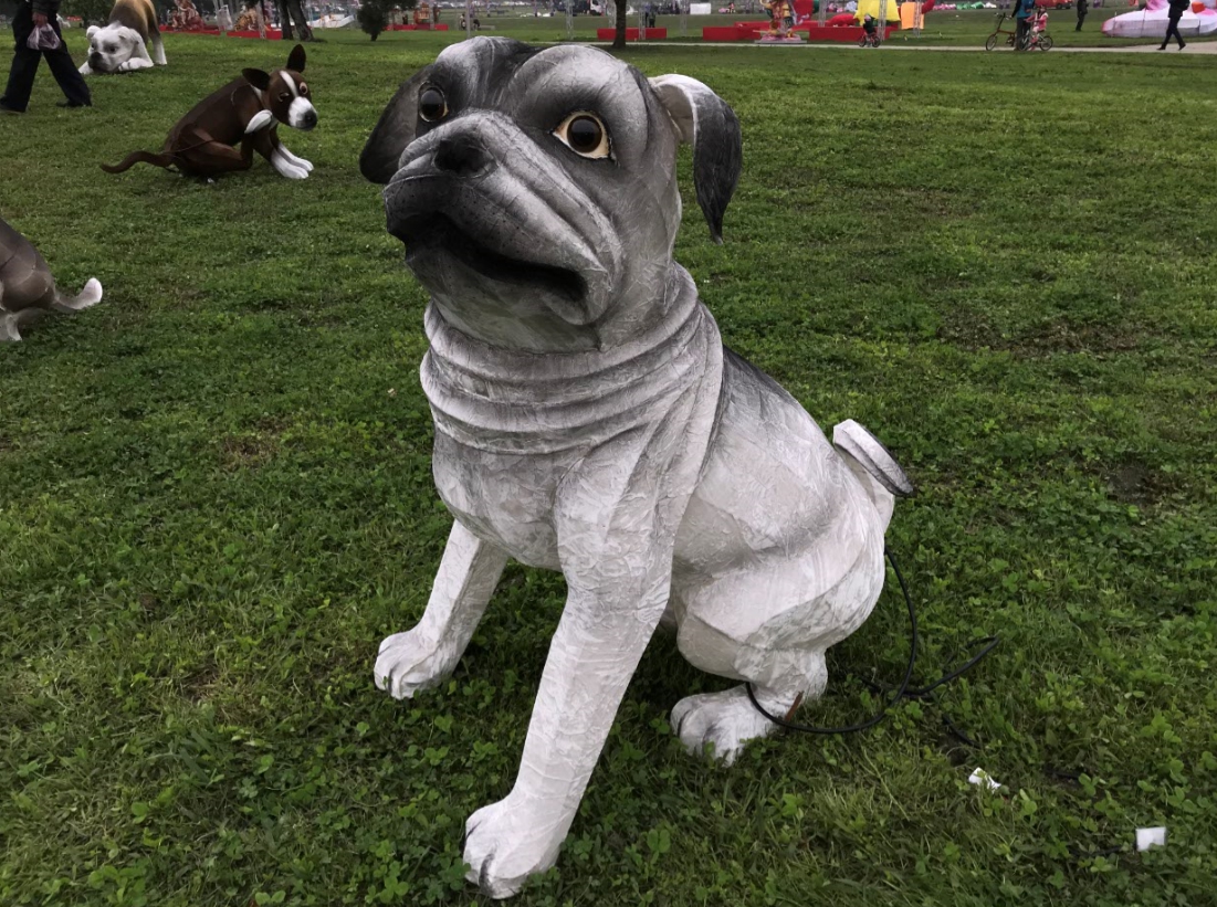 新北燈會「歡喜旺旺來」燈區的鬥牛犬花燈，是另一個最夯的萌犬花燈。 圖:新北市民政局/提供