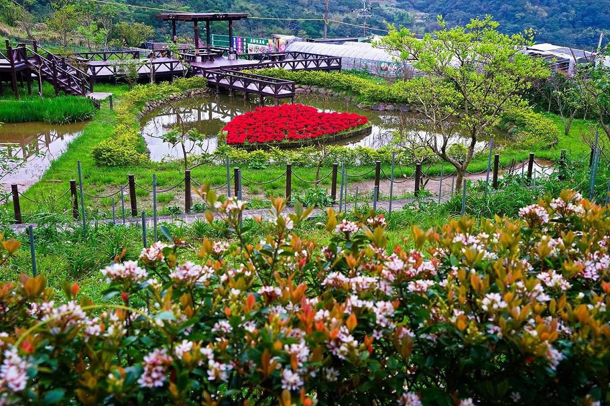 周邊景點包括碧湖步道、白石湖吊橋、同心池等景點可觀光，景點之一的同心池相當吸引人。 圖 ：台北旅遊網FB粉絲專頁提供