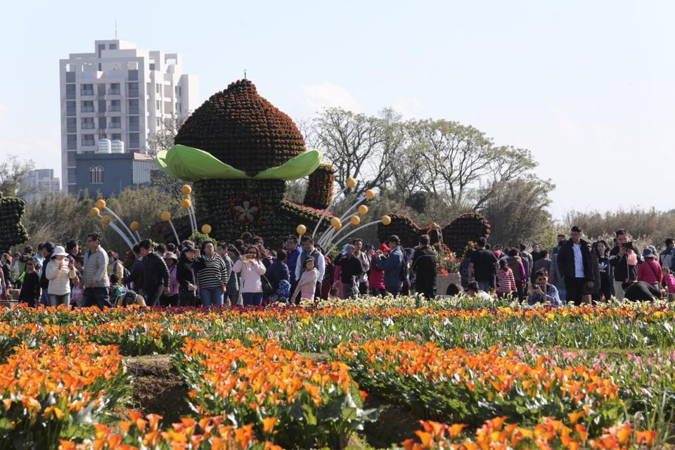 「2018桃園彩色海芋季」，活動期間從3月10日至3月25日，在大園區聖德北路與田溪路交叉口舉辦，開幕首週末已湧入人次已累計達23萬，突破去年(106)一半人次！ 圖：邱俊銘FB粉絲專頁提供