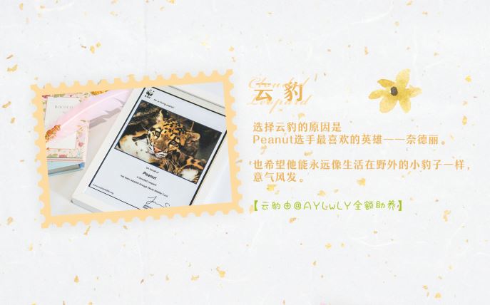 粉絲這次所捐贈的五隻野生動物，便是以Peanut的形象作為啟發。 圖：翻攝自 Stand_By_Peanut 微博