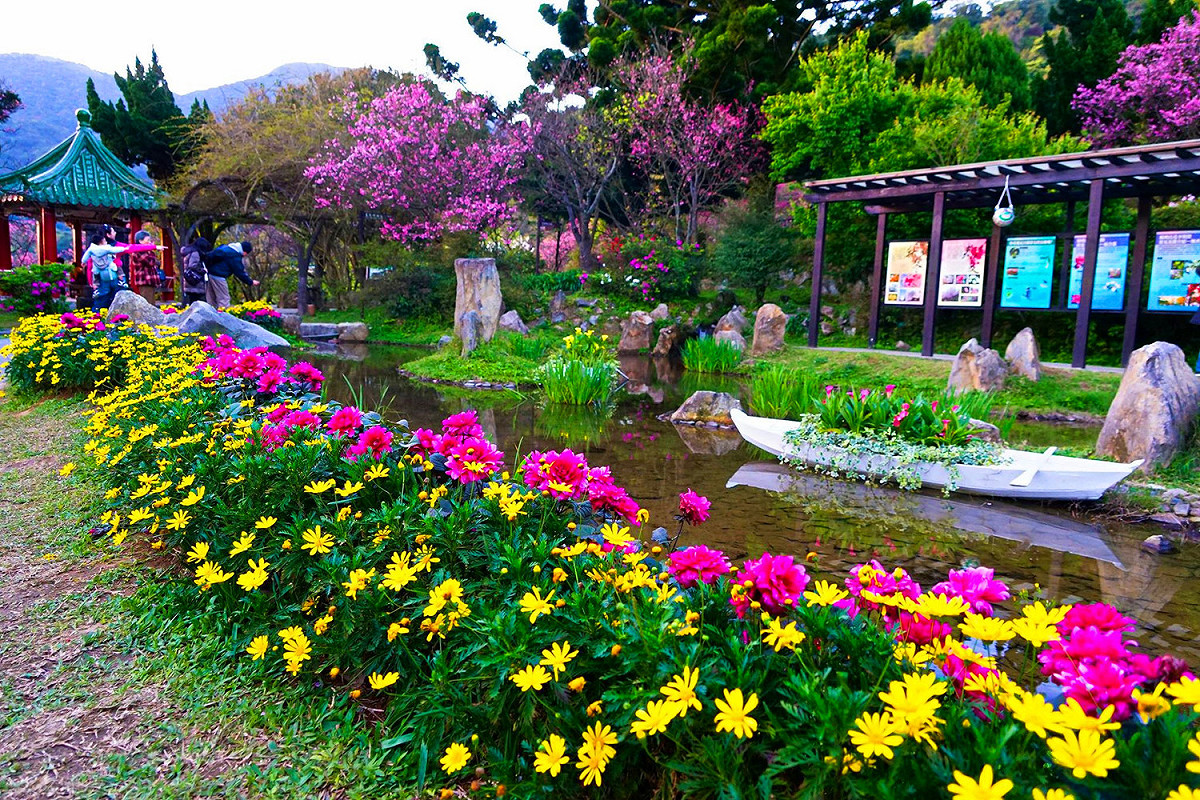 3月25日還有一場「草山進行曲」活動，花鐘廣場還有管樂團體及非洲鼓團體的精彩演出，絕對不能錯過！ 圖：《台北旅遊網》FB提供