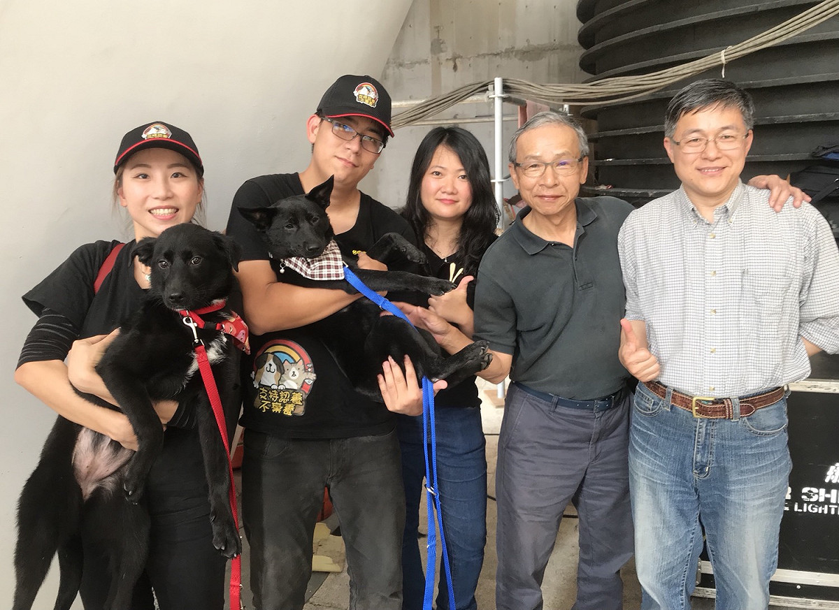 這三隻米克斯狗狗包括PUMA、Q寶與嘿煤。 圖：台中市政府/提供