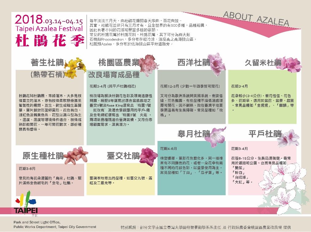 此次展示於大安森林公園品種區的杜鵑花品種共8類。 圖：台北市政府工務局／提供