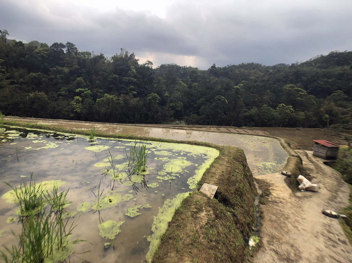 如果有在地人領路的話，或許還能看見難得的「水梯田」。 圖：丘秝榕／攝