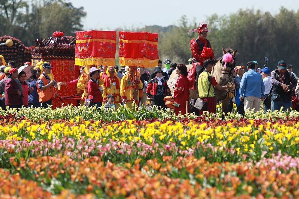 花田辦囍事！龐大迎親隊伍吸引遊客圍觀拍照。 圖：桃園市農業局／提供