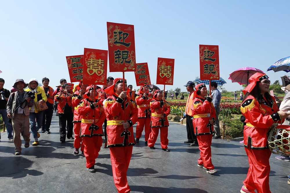 彩色海芋季活動最後週末，今天上演一場最真實的娶親記。 圖：桃園市農業局／提供