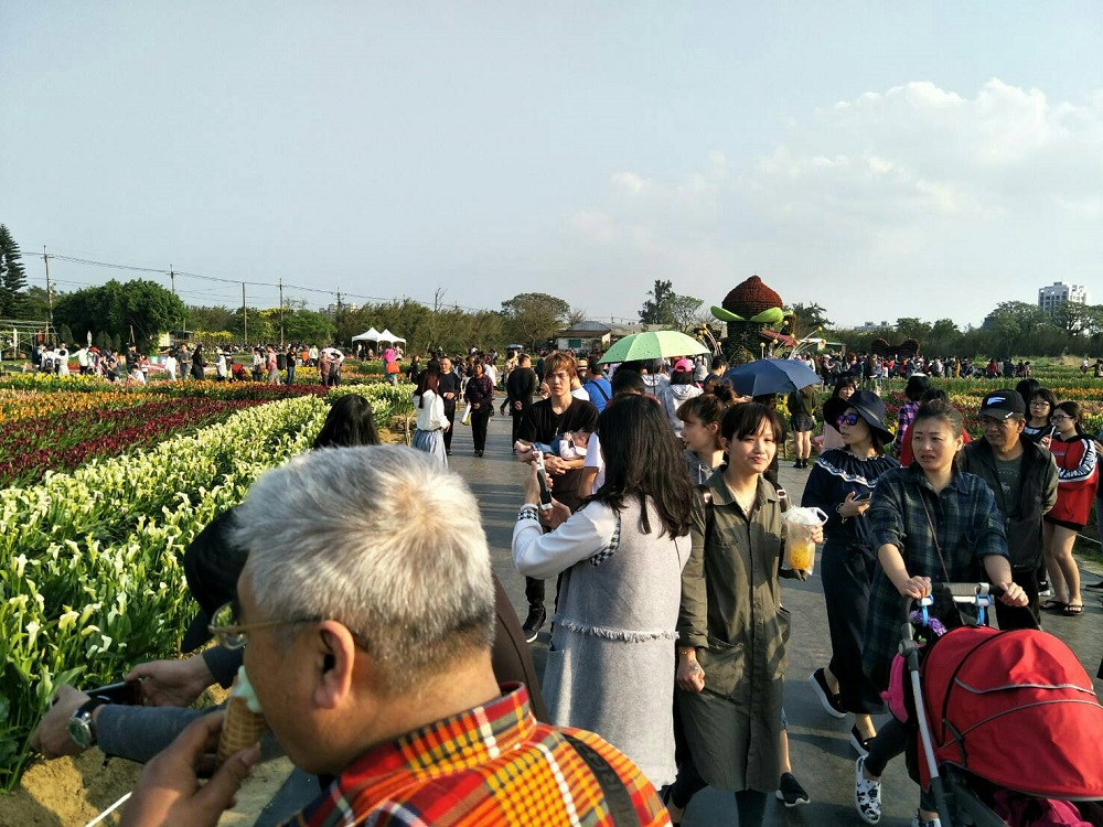 桃園彩色海芋季活動倒數一天，今日入園累計人次已達到89.4萬，週日最後一天有望突破百萬大關！ 圖：桃園市農業局／提供