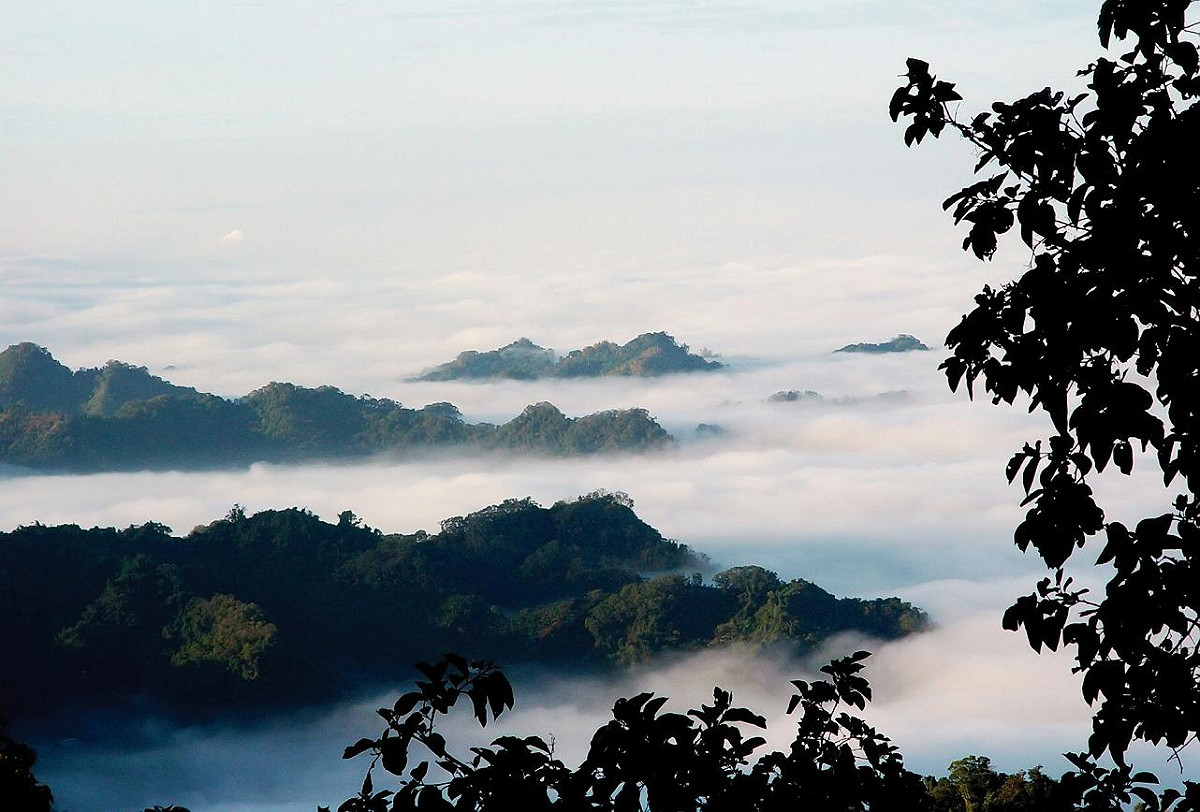 「酒桶山」視野遼闊，景緻優美，居高可遠眺中部五縣市之奇峰山巒，及大台中盆地之市景。 圖：翻攝自頭汴坑休閒農業區網站
