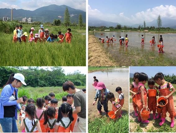 今年度濕地保育行動計畫補助作業計核定補助13縣市24案，補助經費約1,730萬元。 圖：內政部提供