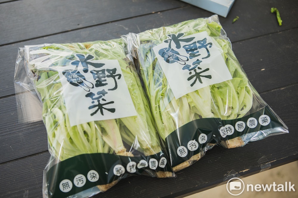 王藝蓉、王藝達姊弟並不是農二代，從一開始完全不懂，到後來將無毒水耕菜推進連鎖賣場，中間跌跌撞撞，終於創造出屬於自己的無毒市場。 圖：陳宣如／攝