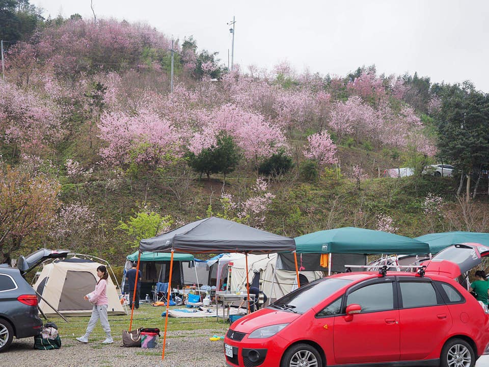 天景露營區位於新竹五峰鄉山中，海拔較高，擁有一望無際的景觀視野，不管是夕陽晚霞、絢麗夜景、星斗照耀，加上營區有不少的櫻花樹，更增添在此露營的浪漫氛圍！ 圖：天景露營區FB粉絲專頁提供