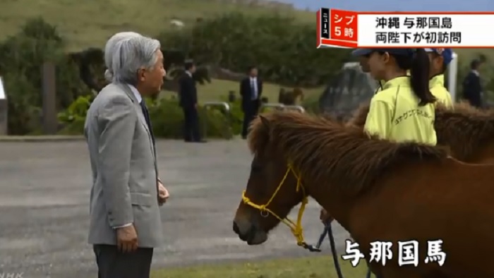 明仁與美智子抵達與那國島第一站，先到東牧場看日本原生種的與那國馬。 圖：翻攝NHK畫面
