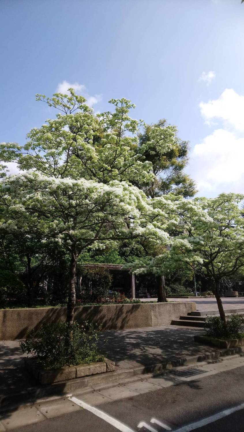 圖：台北市工務局／提供