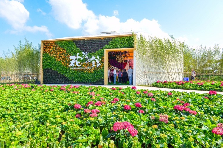 「花漾館」展現了桃園在地草花、蘭花栽培技術。 圖 : 桃園市政府 / 提供