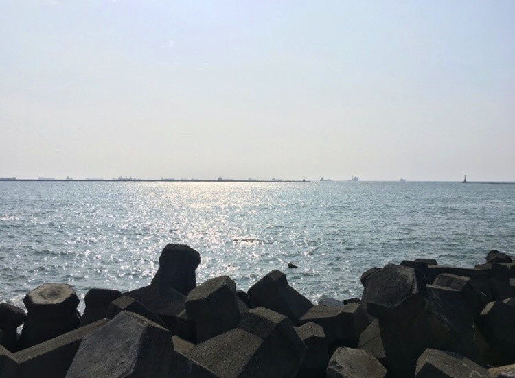 海軍「左營6號浮塢」29日上午執行壓浮載測試期間浮艙進水「坐底」。圖為西子灣。 圖：翻攝自《TripleFeet》APP。資料照片。