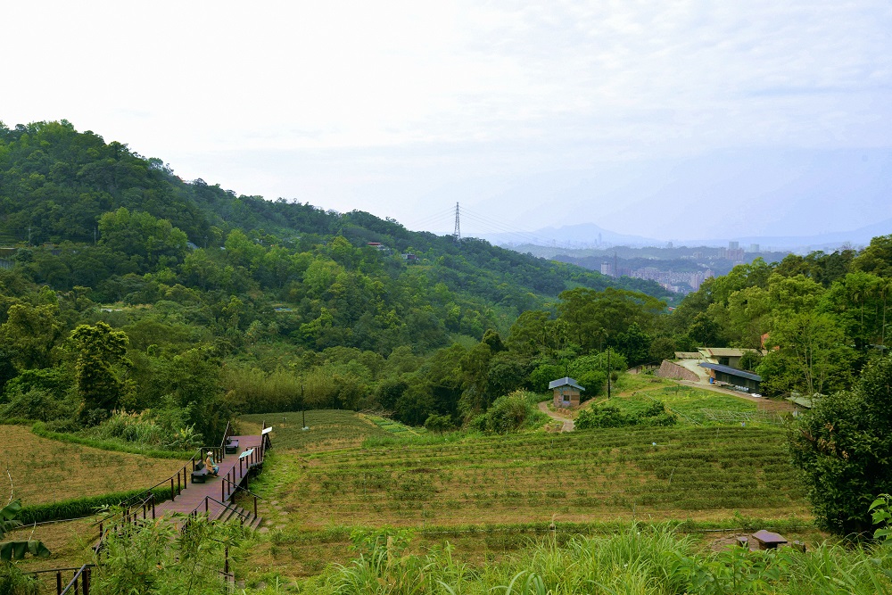 曾榮獲台北市政府最高榮譽「公共工程卓越獎」殊榮得田寮橋貓空水土保持茶園，週邊木棧道沿線茶園景緻，吸引不少攝影愛好者前來朝聖，堪稱貓空最美的茶園！ 圖：台北市工務局提供