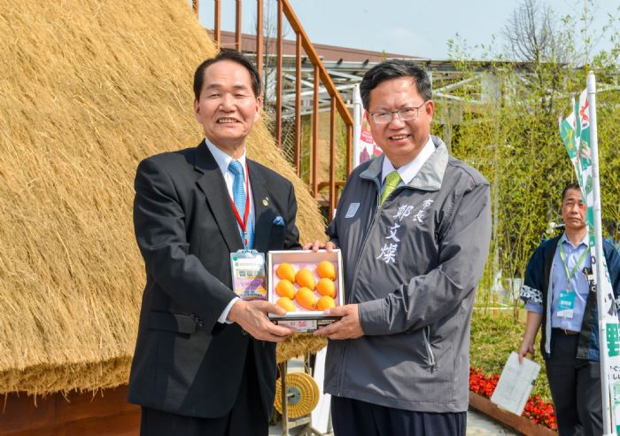 日本香川特產來台，好吃好玩盡在桃園！桃園農業博覽會今（4）日開幕，在「國際友好」特區中，來自日本香川縣的盆栽、枇杷、奇異果等農特產品，十分吸引眾人眼光。 圖：桃園市政府/提供