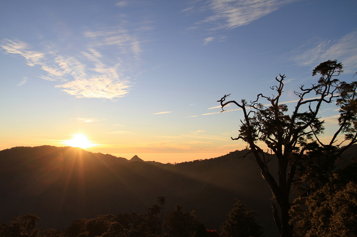 大雪山國家森林遊樂區的夕陽也相當美麗，可以帶小孩一同欣賞！
 圖 ：林務局提供