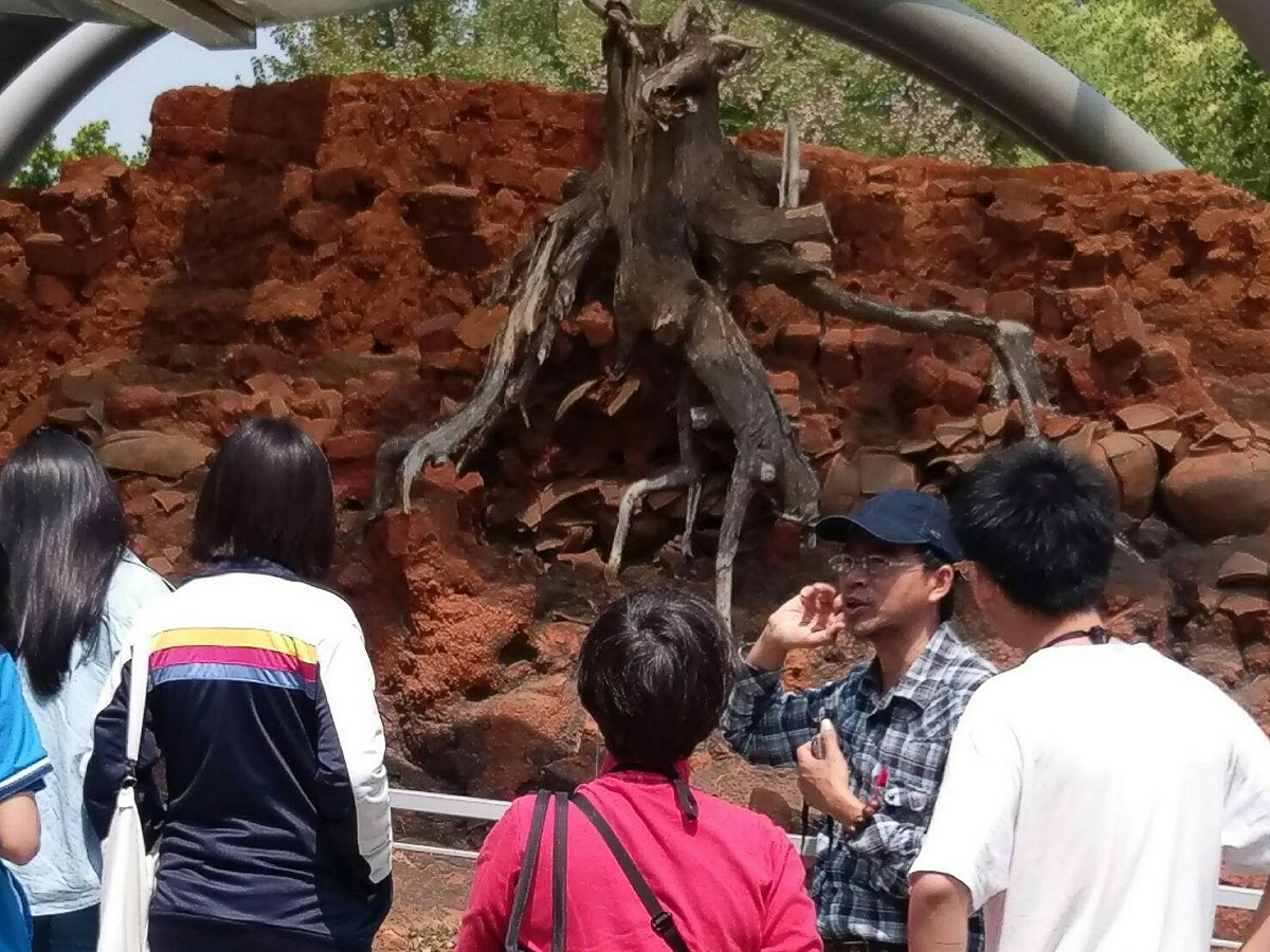 西苑高中舉辦「逐鹿西屯─走讀」。 圖：台中市教育局/提供