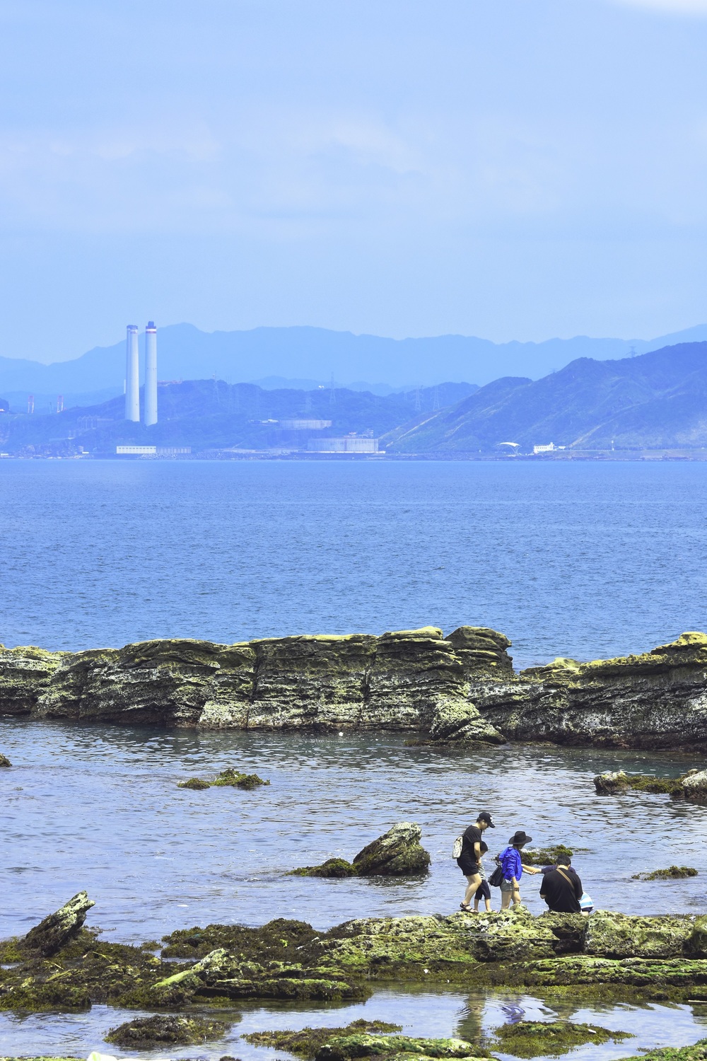 北海岸的維納斯海岸線春季美景風光宜人。 圖：新北市政府提供