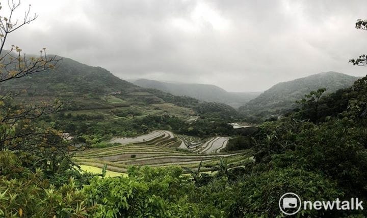 新北市石門嵩山社區百年梯田。4月6日是出璜口農場揷秧後10天的水稻梯田美景。 圖：陳奕/攝