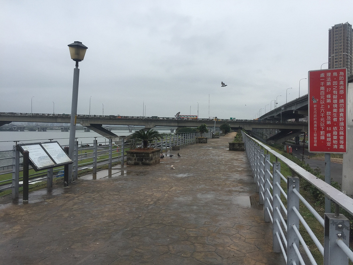 高灘地野鴿聚集處設置禁止餵食禽鳥告示牌。 圖：新北市動保處提供