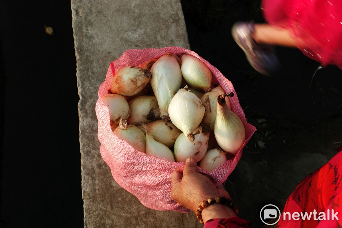 一位阿嬤的戰利品：免錢洋蔥一大袋！ 圖：張良一/攝