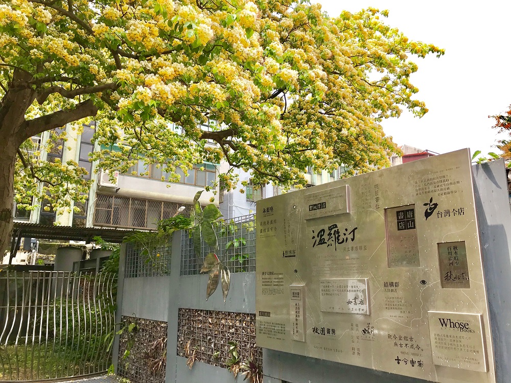 台電魚木原種在辦公圍牆內，為讓民眾好好欣賞，台電順應打造開放空間，拆掉圍牆、遷移電力設備，並設置露天涼椅，也讓樹根有更多自然生長空間。 圖：台電／提供