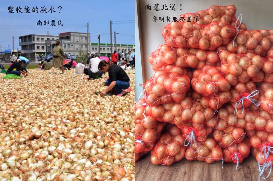 桃園市議員魯明哲訂購100袋南部洋蔥，明起民眾憑發票可換3顆洋蔥。 圖:翻攝魯明哲臉書