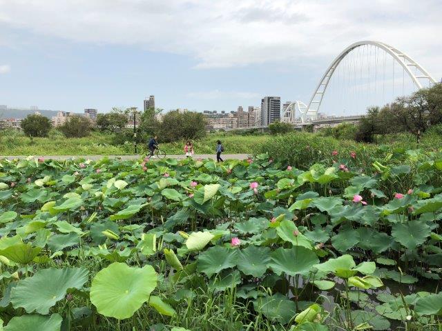 30日因為太平洋高壓持續偏強，全台天氣穩定。 圖：新北市政府/提供