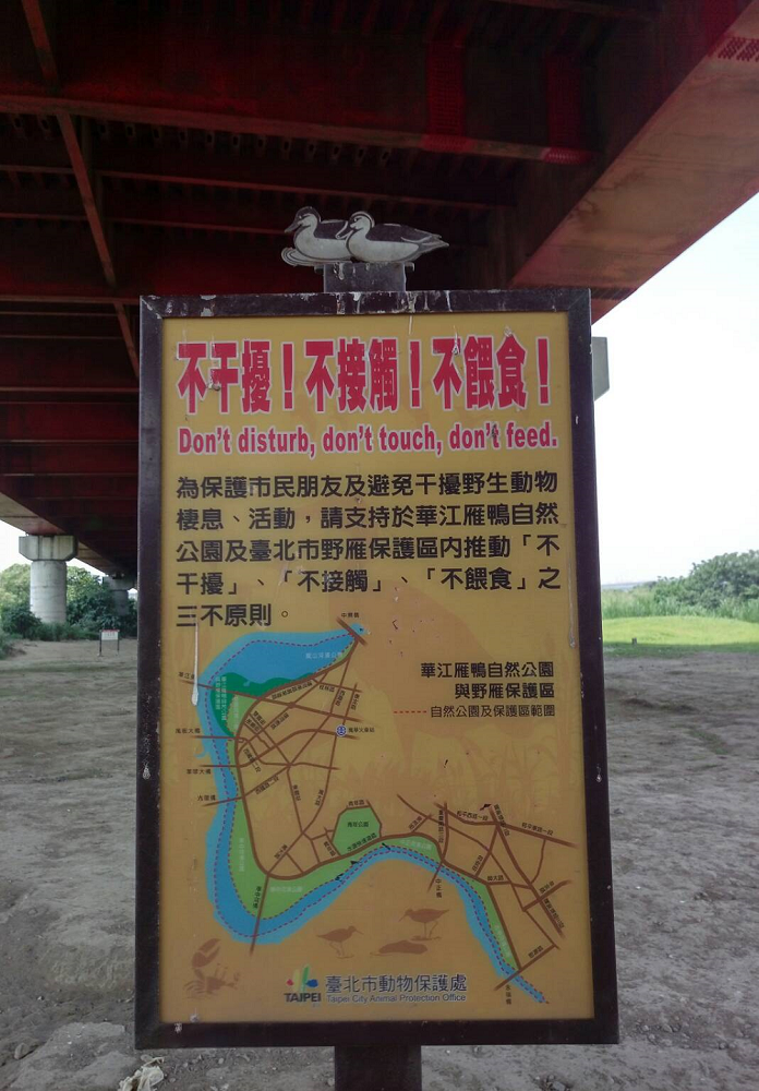 野雁保護區及華江雁鴨自然公園內應遵守「不干擾」、「不接觸」、「不餵食」三不原則，切勿餵食動物。 圖：台北市政府／提供