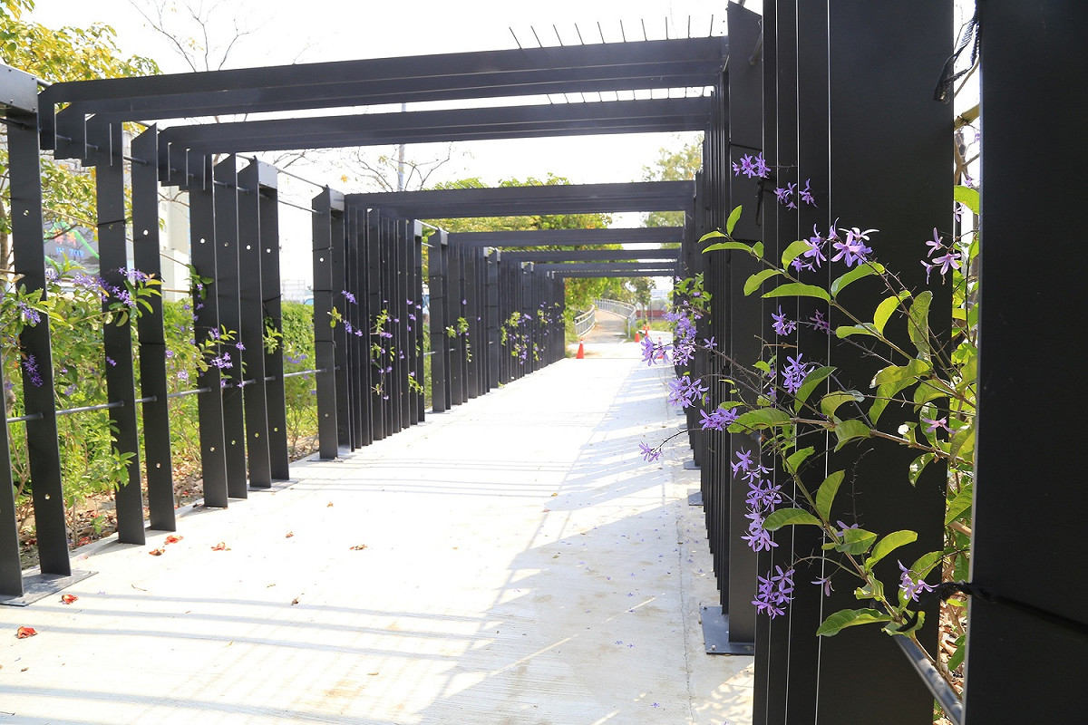 「藤蔓隧道」則種植諧音為「許願藤」的錫葉藤，讓遊客走進紫色花海中，感受幸福的滋味。 圖：台中市政府／提供