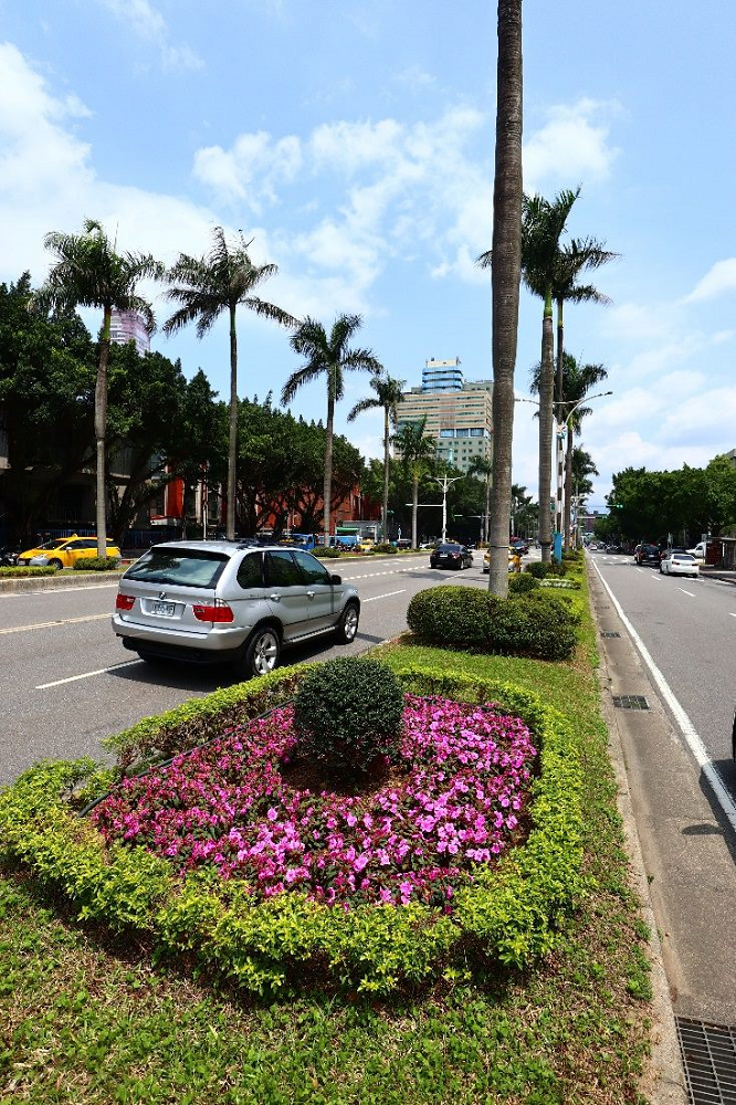 中山南路也同樣種植了同系列的粉色花卉。 圖：台北市政府／提供