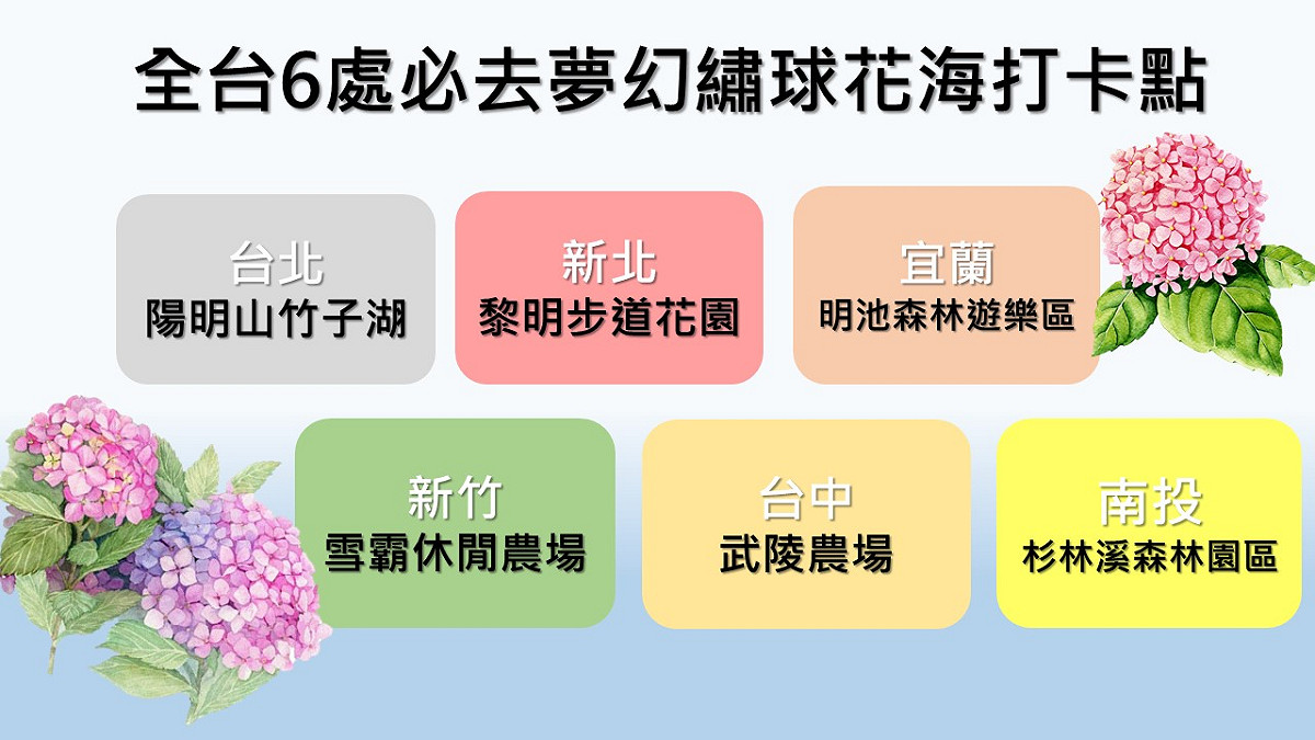《新頭殼》為您統整6個絕美繡球花打卡勝地，提醒您出發前先查詢當地花況，以免向偶！ 圖：新頭殼製表
