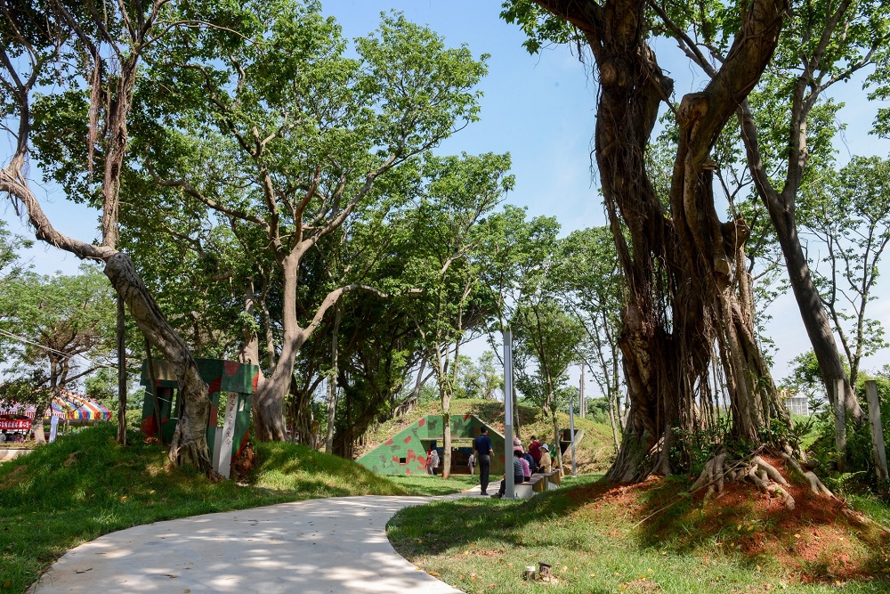 碉堡公園也保留了許多大型原生喬木。 圖：桃園市政府新聞處