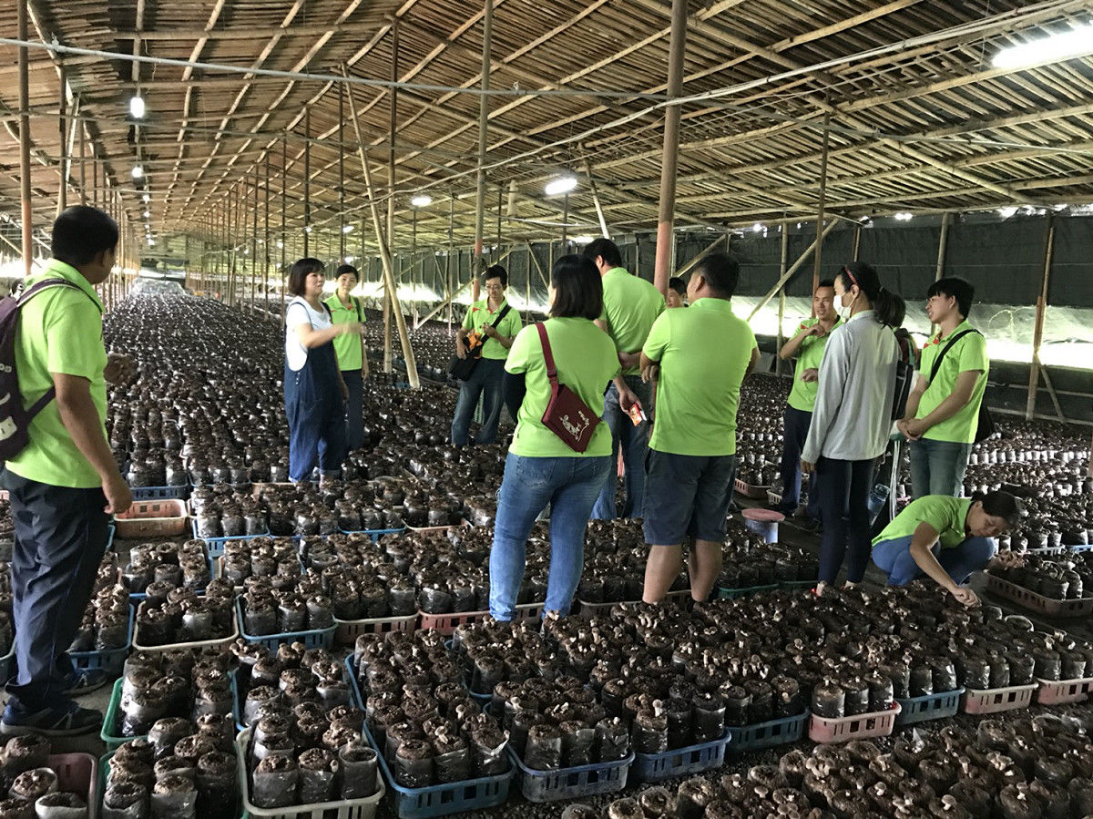 台中市政府農業局安排期末產業參訪，包括香菇、花卉、水稻、果樹、溫室栽培等。 圖：台中市政府/提供
