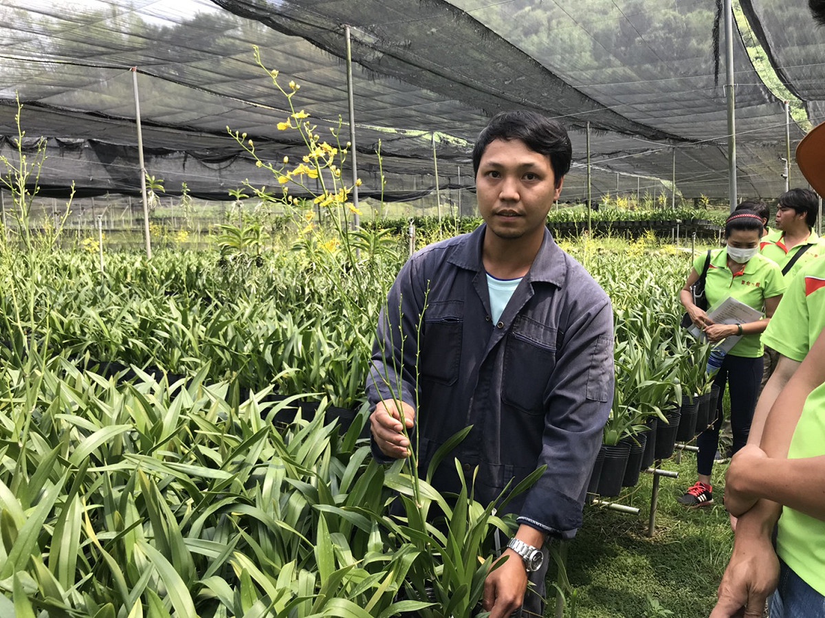 農場第二代黃仁邦自職業軍人退伍後，回鄉幫忙父親農場工作，他同時也是105年度青年加農培訓學員。 圖：台中市政府/提供