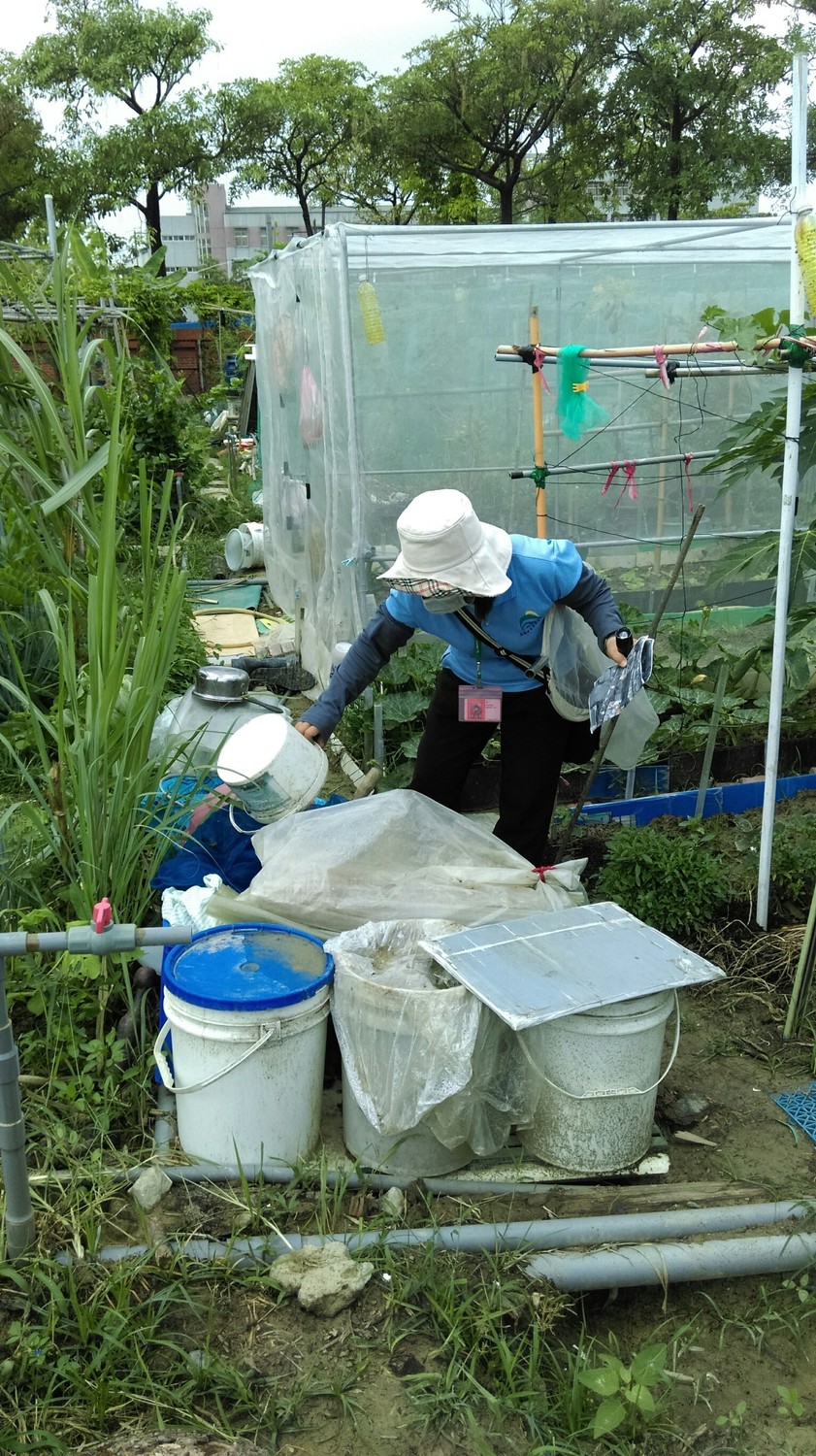 高雄市在雨後48小時，立即啟動登革熱防疫工作，進行七大風險場域複查陽性孳生源。 圖：高雄市衛生局／提供