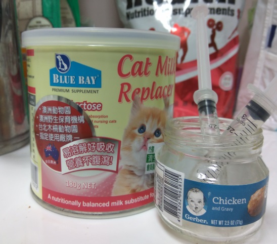 高比例的乳糖很可能導致幼犬貓無法消化，出現腹瀉的症狀，幼幼們得喝狗貓專用營養奶粉泡的牛奶。 圖：新北市動保處／提供