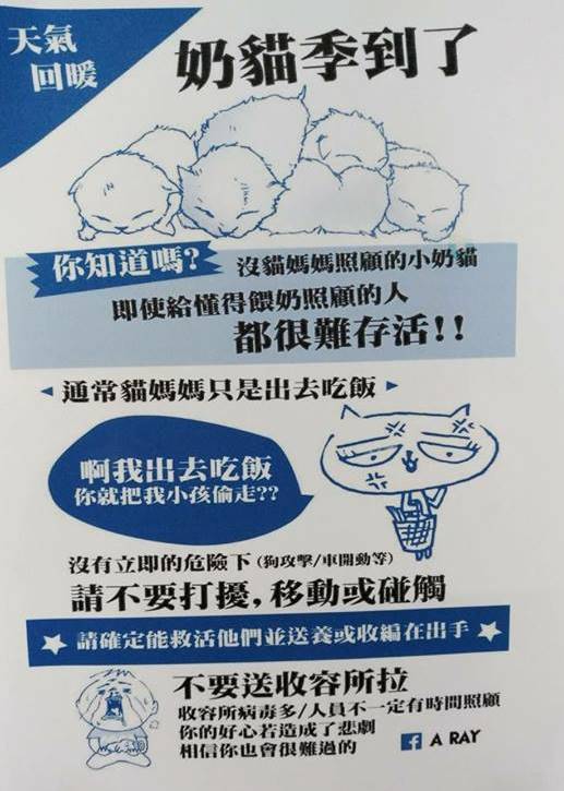 市民朋友若在野外發現哺乳期幼貓幼犬，應先確定母親是否只是暫時外出再考慮帶走收養。 圖：新北市動保處／提供