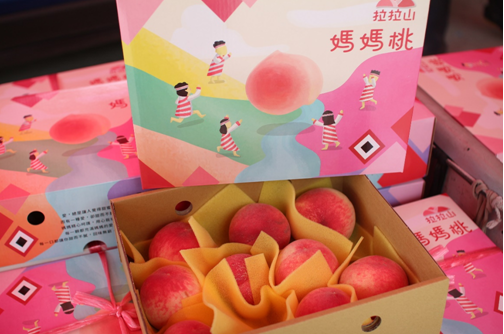拉拉山產出的水蜜桃富含維生素C、鐵質與多酚類等營養。 圖：桃園縣政府／提供