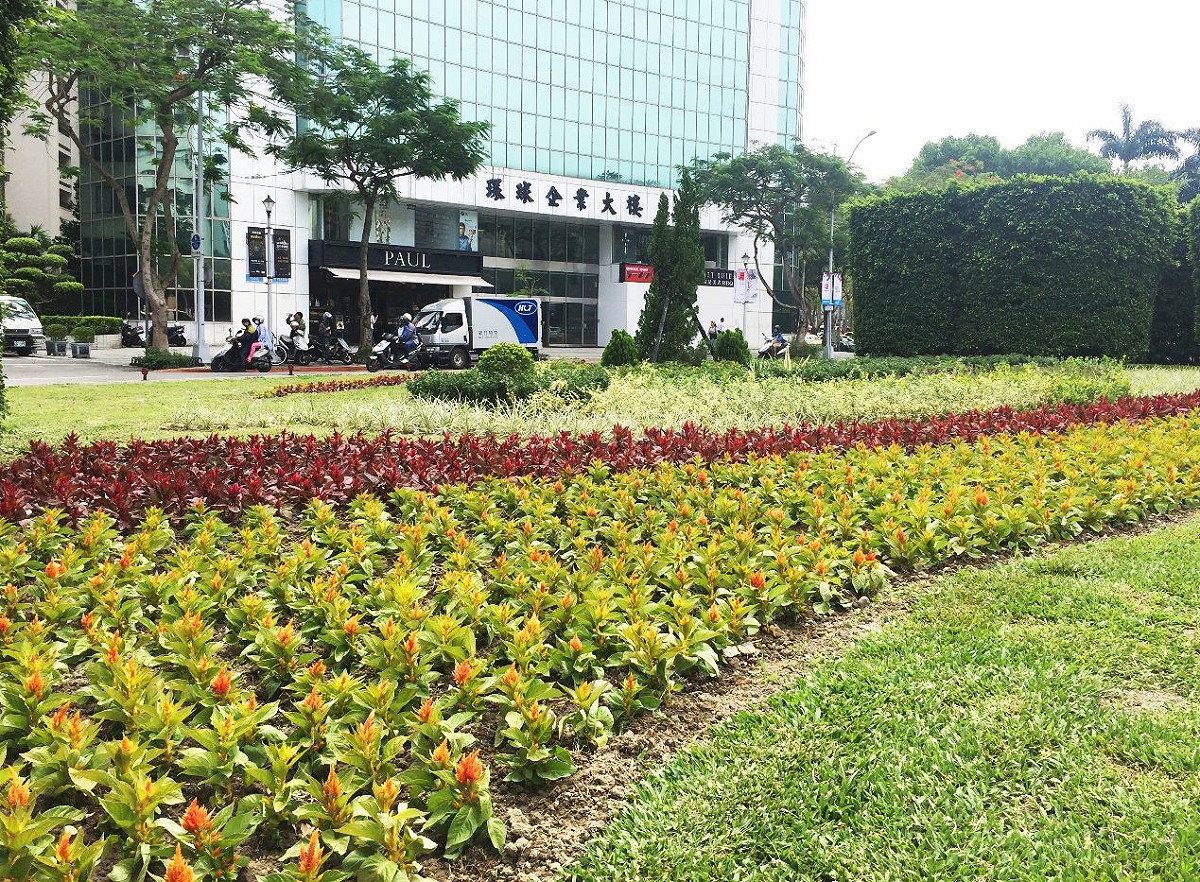 仁愛圓環綠美化此次運用了四季草花及葉色多變的灌木營造複層式植栽，豐富視覺感受也增加生態多樣性。 圖：台北市工務局／提供