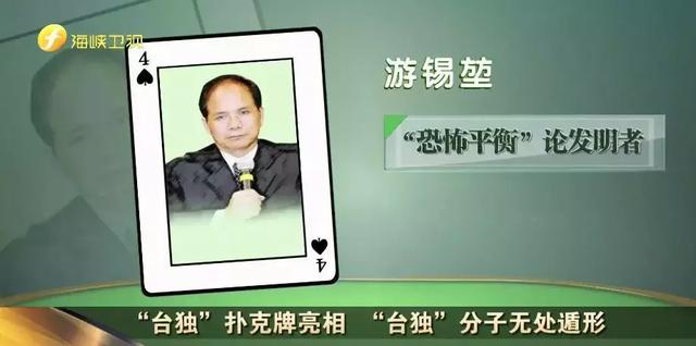 前行政院長游錫堃。 圖：翻攝自海峽衛視網站