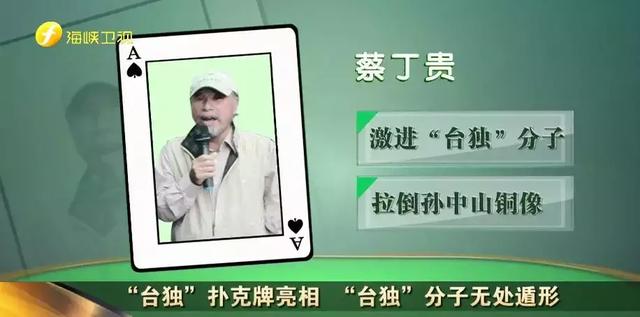 自由臺灣黨創黨黨主席蔡丁貴。 圖：翻攝自海峽衛視網站
