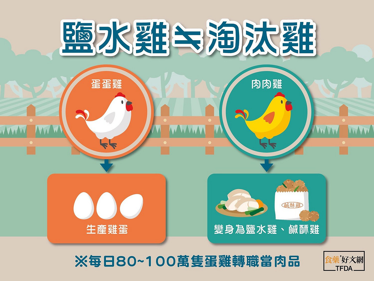 依據中華民國養雞學會統計，台灣每個月約有80至100萬隻蛋雞轉換工作，從產蛋變成提供肉品。 圖：食藥署提供
