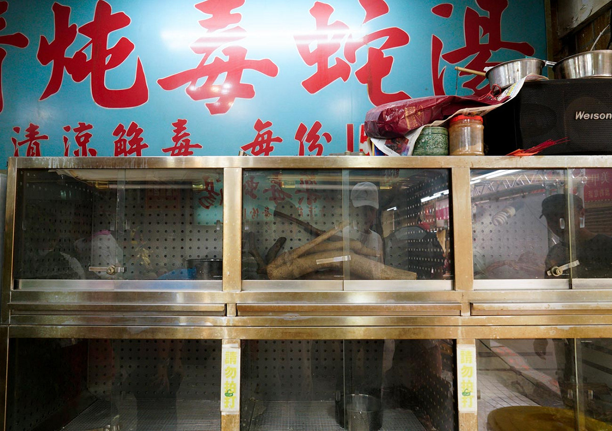 總經理郭懿堅表示，今年春節的大年初一到十五沒有一條蛇可賣，又無法自國外進口蛇，讓他思考要將亞洲蛇肉店轉型。亞洲蛇肉店蛇去籠空，日後將賣蛇肉小火鍋。 圖：張良一/攝