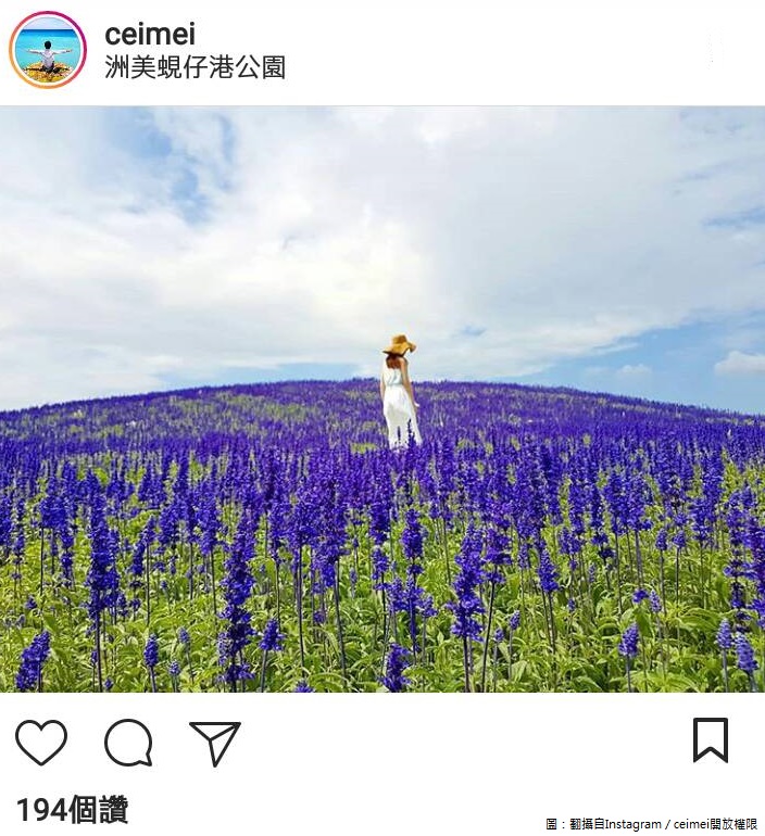 關渡的紫色花海也是許多網美的打卡聖地。 圖：翻攝自Instagram／ceimei開放權限